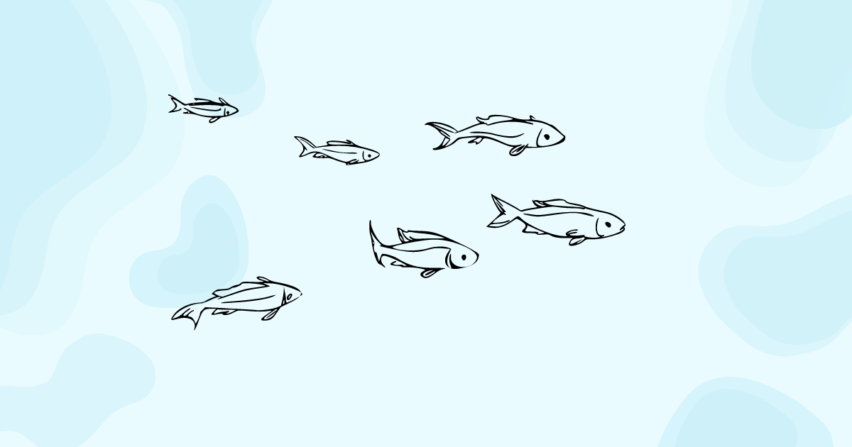 魚,青,鯖